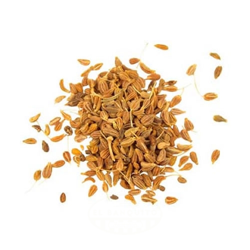 [276] BAND.DORADA REDONDA P- 24