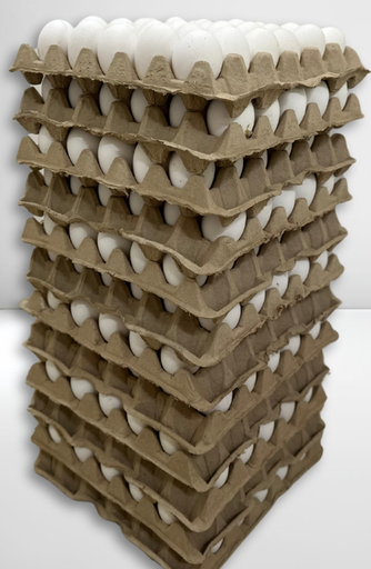 [470] ESENCIA NARANJA "GEL BRIX" X 1 LT